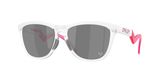 Oakley OO9289 FROGSKINS HYBRID Sunglasses