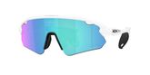 Oakley OO9525 STUNT DEVIL A Sunglasses