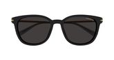 Montblanc MB0304SA Sunglasses